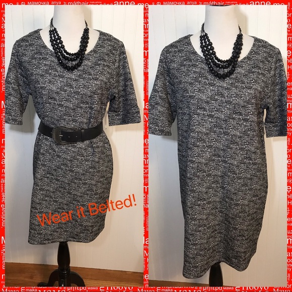 FINAL PRICE🥊 $168 NWT Adrienne Vittadini Cotton Blend Dress L - Picture 1 of 8